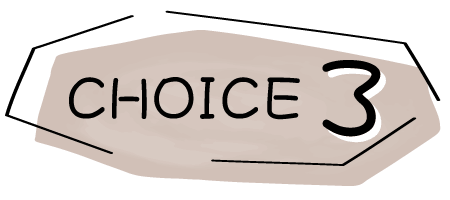 choice3