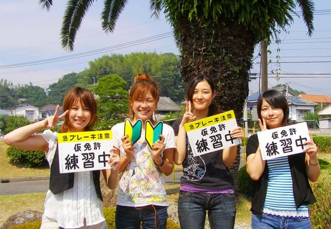 共立自動車学校 日野校